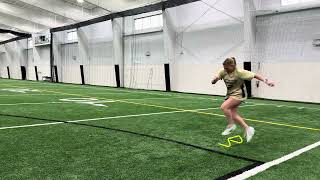 Hurdle Crossover (Triple) + Sprint