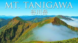Hiking Mt. Tanigawa - Japans 100 Famous Mountains
