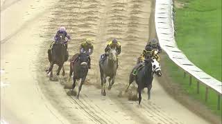 Race 5 Master 2026 08 08