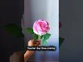 Teachers Day Rose making with paper se roj Kaise banaen easy Teachers Day craft ideas #teachersday