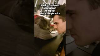 My cat is a skinwalker! 😱 #shorts #trending #doppelganger
