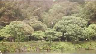 Jeju Island South Korea