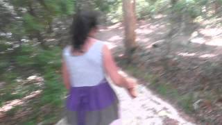 Hot Sandy Forest Walk Near Newcastle Australia