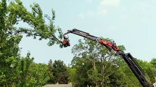 Tree Removal With Knuckle Crane