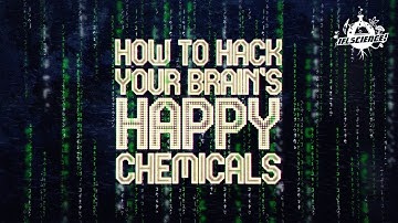How to Hack Your Brain