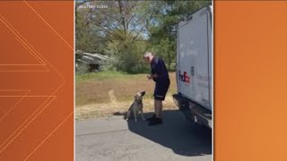 Idaho delivery drivers gives treats on his route