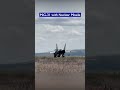 Russian MiG-31 Carries Nuclear Kinzhal Hypersonic Missile!!
