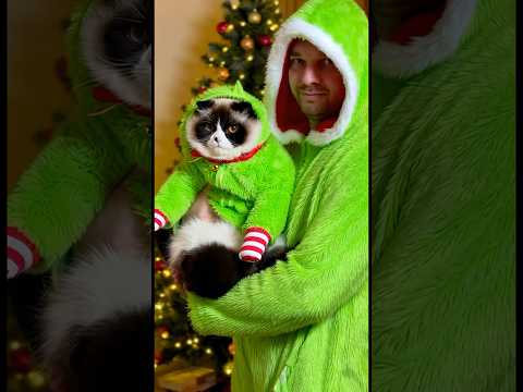 The Real Grinch is a CAT?! 😱💚 #shorts