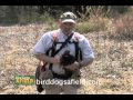 Bird Planting Tips Bird Planting Tips