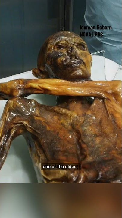 What would you do if you stumbled upon this on your hike? #shorts #archaeology #mummy #iceman