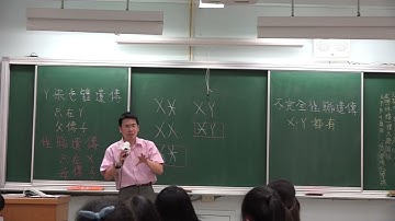 很多色盲的人不知道自己有色盲 似乎也過得好好的 關於色盲的小故事 入學體檢 考駕照 醫學系 #北一女 #課堂實錄 #降噪 #番外篇