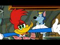 Woody the chef | Woody Woodpecker