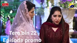 Tere Bin Episode 22 Ysing