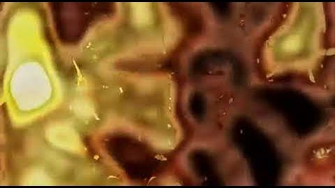 force dimension - carcinome