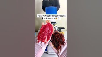 Raw vs Cooked meat under the microscope 🔬 #microscope #rawmeat #fyp #viral #shortfeed #shorts