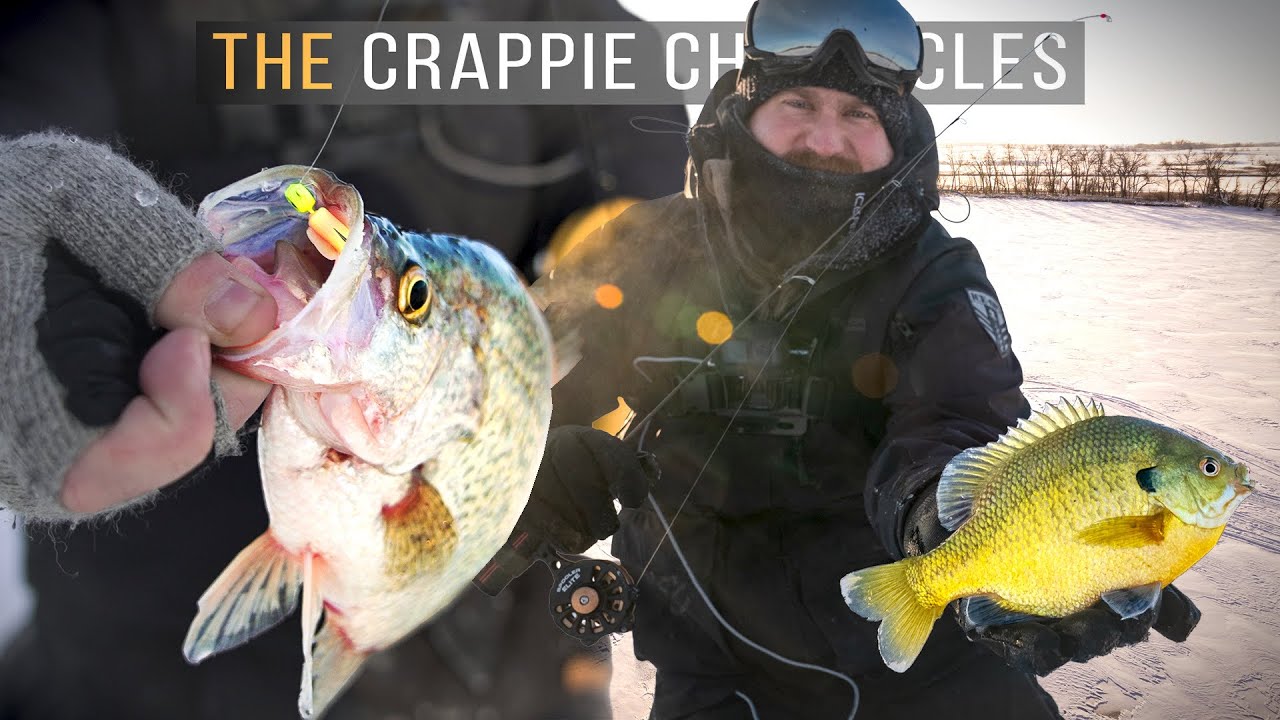 Sunrise FEEDING FRENZY - The Crappie Chronicles (S6:E3)