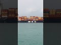 MSC Vlogs 366 MTR Ship 🚢🚢🚢🚢🚢
