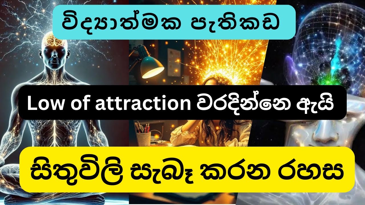 Law of Attraction පිටුපස ඇති සැබෑ විද්‍යාව | ඔබ ඇවිදින චුම්බකයක්🌿🐣