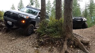 Tahuya ORV Park Trail Run