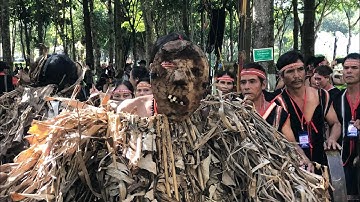 Cồng chiêng | đâm trâu ( thể hiện cồng chiêng huyện đak đoa )