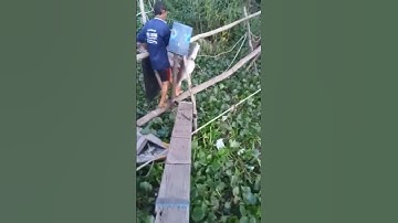 câu cá lăng đuôi đỏ được 15kg ở đầu nguồn sông tiền......