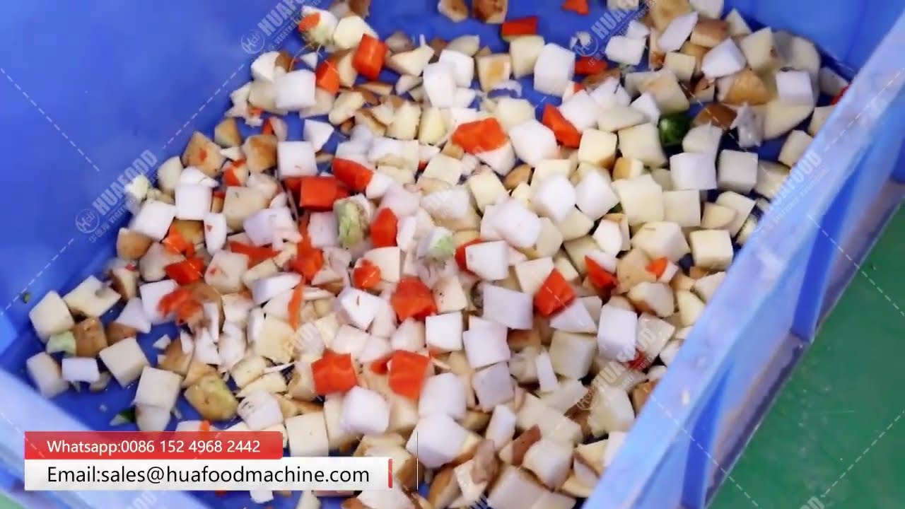 High Speed Vegetable Cutting Dicing Machine Tested on Carrots and Potatoes