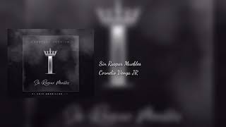 Version 2 of the video