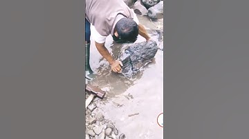 Split hard rock #shorts