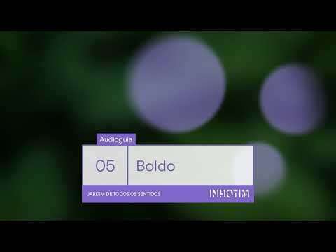 Audioguia Jardim de Todos os Sentidos | Boldo