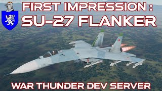 Dev Server First Impression : Su-27 Flanker