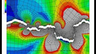 Adhesion Simulation