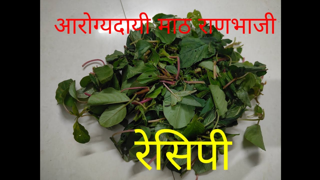 माठ रानभाजी रेसिपी | acidity पळवून लावणारी रानभाजी | math ranbhaji recipe | 