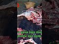 ত্যাগের উৎসব ঈদুল আযহা সবার জীবনে বয়ে আনুক শান্তি ও বরকত #jumboking#bambihabole #banglanews#bangla