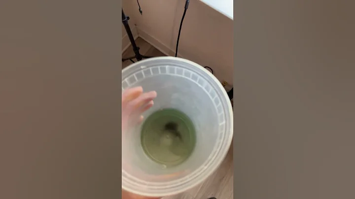 Andis 7&1 blade cleaner is very oily and you just need to put the tip of the blade in then wipe off