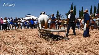 La Molienda 2018 Santa Lucía de Ocón