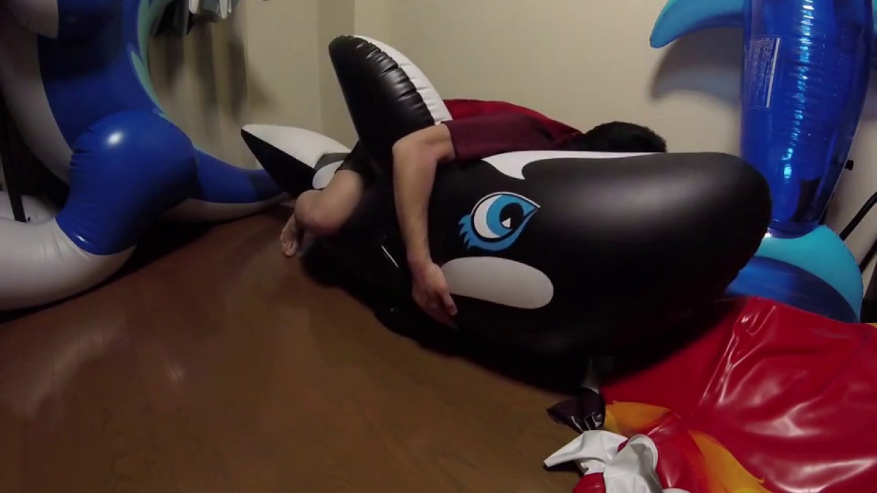 Ride and deflate whale and dolphin - YouTube