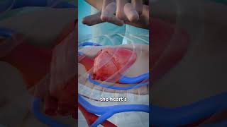 How CPR Works? 💔 এই লাইফ সেভিং টেকনিক জানুন! | CPR Full Form & Technique