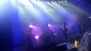 The Front Bottoms - Wolfman (Live at the Roundhouse 2018)