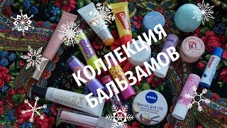 МЯГКИЕ ГУБКИ: БАЛЬЗАМЫ ДЛЯ ГУБ, ЧТО КУПИТЬ,А ЧТО - НЕ СТОИТ МЯГКИЕ ГУБКИ: БАЛЬЗАМЫ ДЛЯ ГУБ, ЧТО КУПИТЬ,А ЧТО - НЕ СТОИТ