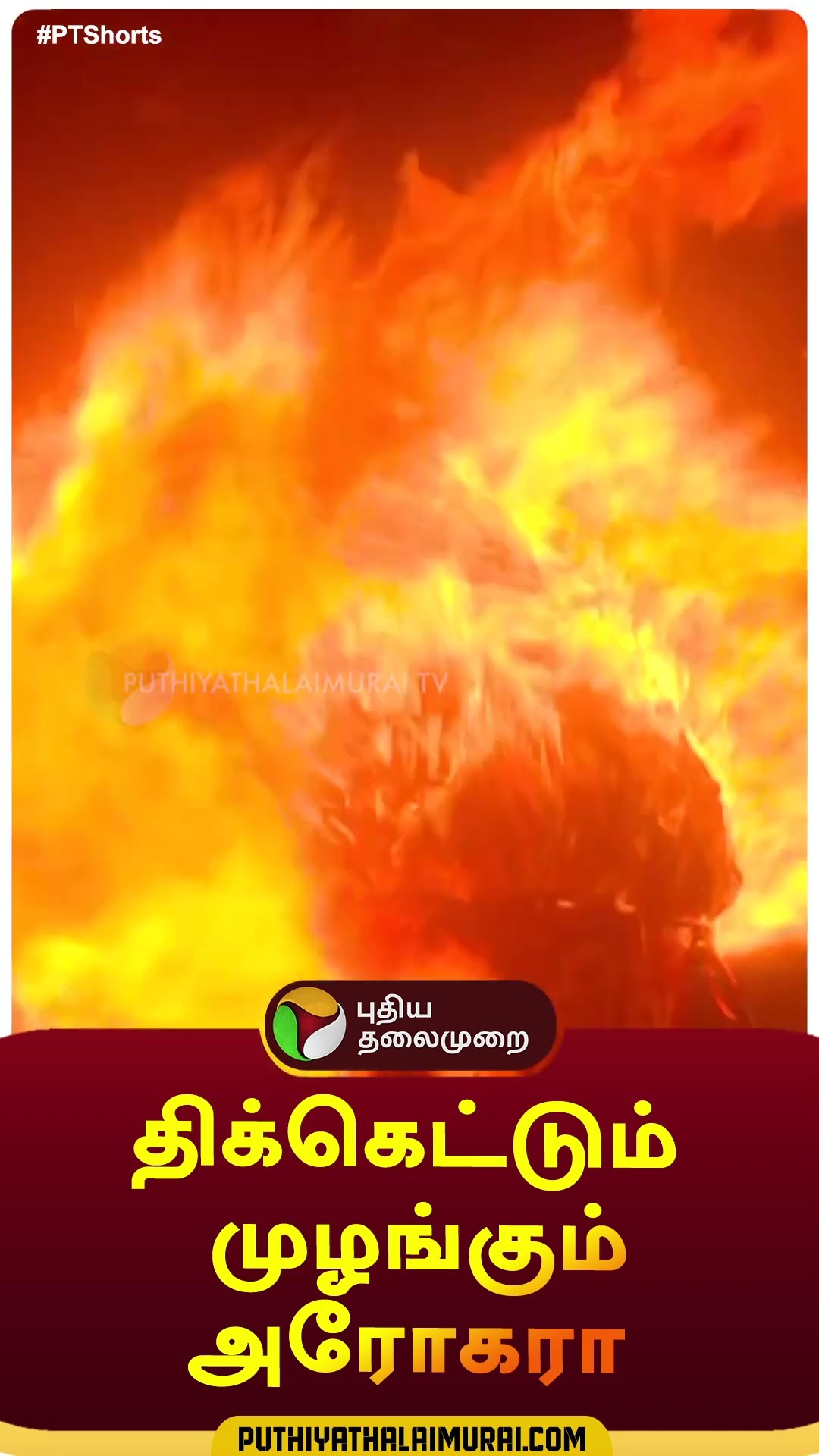 திக்கெட்டும் முழங்கும் அரோகரா  #shorts | #Tiruvannamalai | #Tiruvannamalaideepam