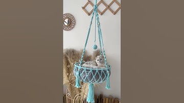 My cat is really getting comfortable on this cute cat swing we made for her:)