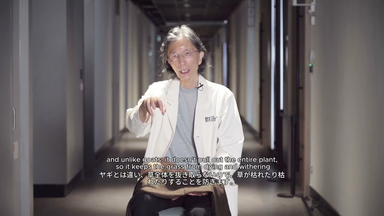 サステナブルヤクウール