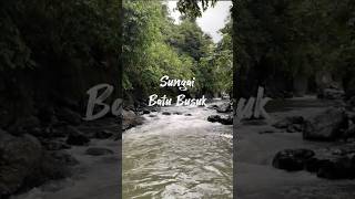 Sungi Batu Busuk udarilen alam sungai fyp
