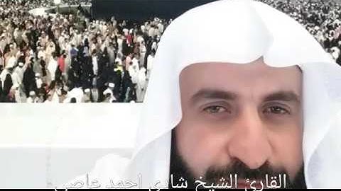سورة يوسف بصوت القارئ الشيخ شادي عاصي!