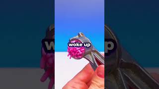 The Bravest Thing I Ever Did As A Teenager Happened At Two In The Morning With A Screwdriver