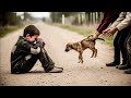 Short-lived Happiness: Boy Gets Help But Loses His Beloved Dog