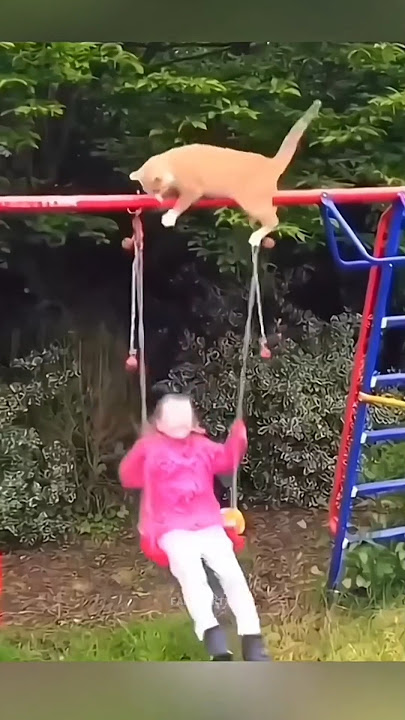 Funny Animals 2024 😂 - Funniest Cats and Dogs video 🐱 🐶 Part 139 #shorts