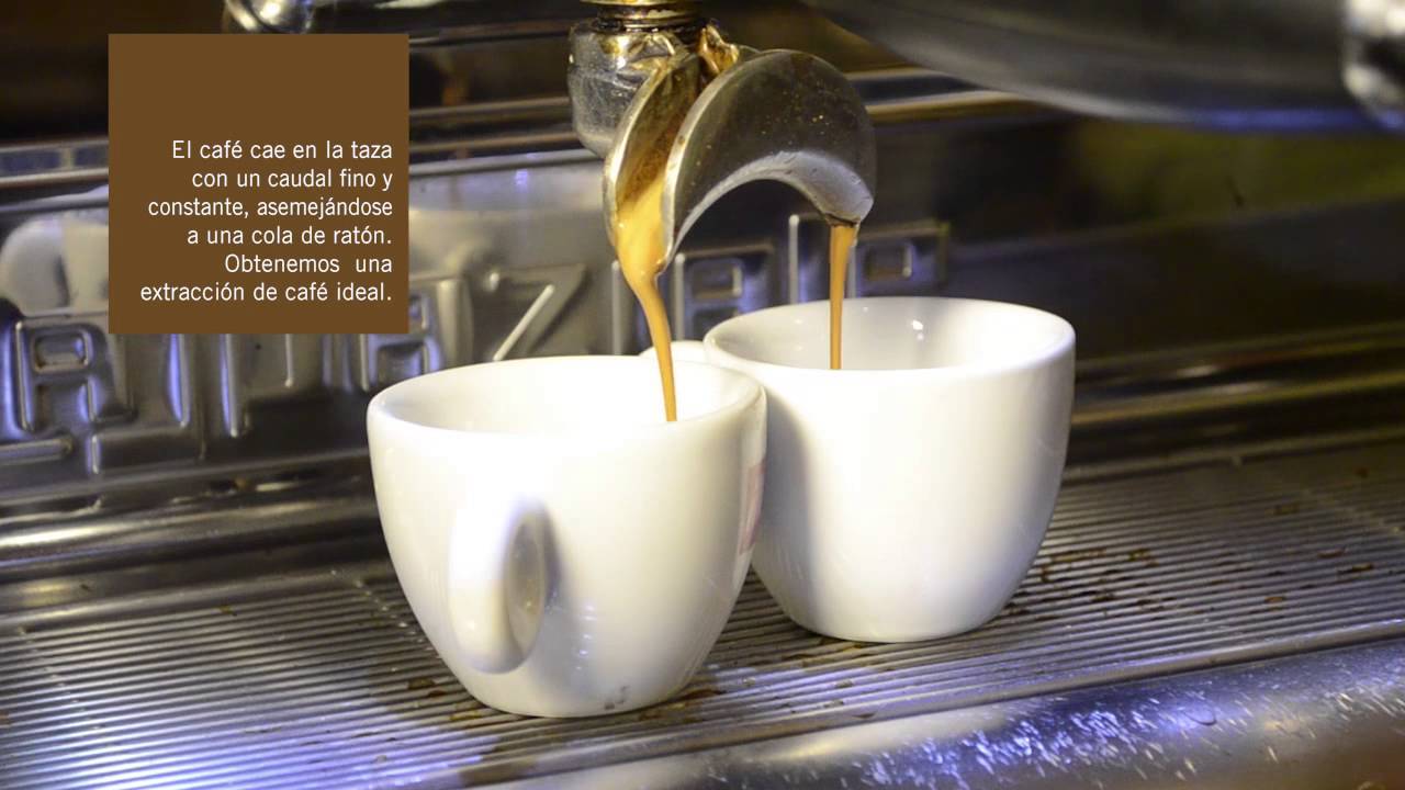 Extracción del café. La cola de ratón - YouTube