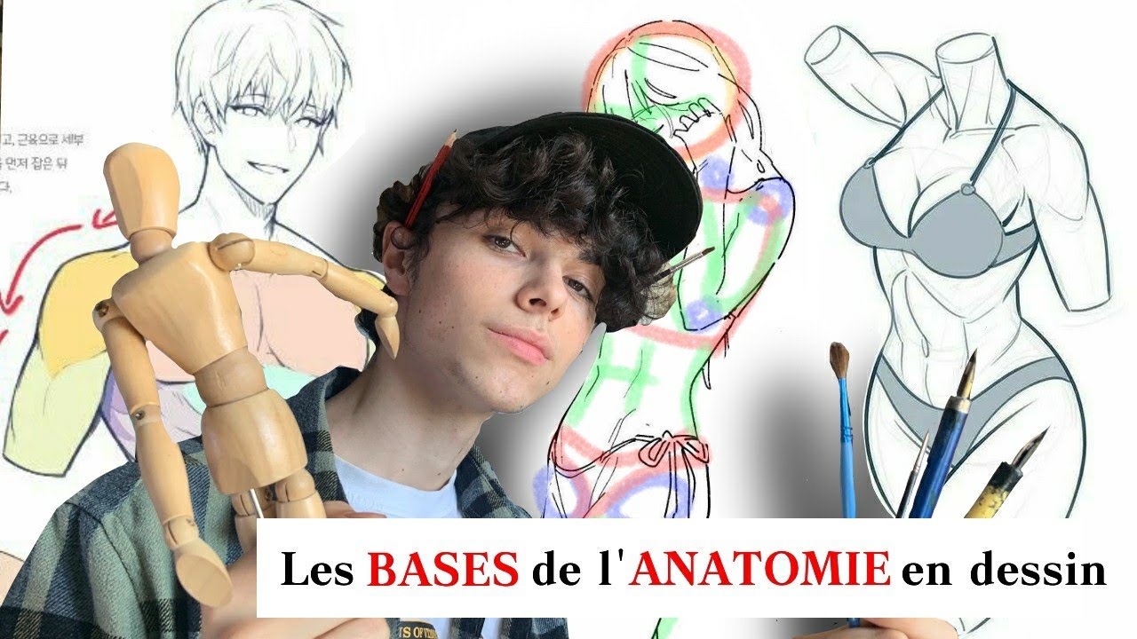 COMMENT apprendre les BASES de la PROPORTION en dessin ? [TUTO CORPS DE ...