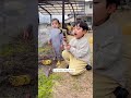 Sampai nyebut mas lihat adik 😇